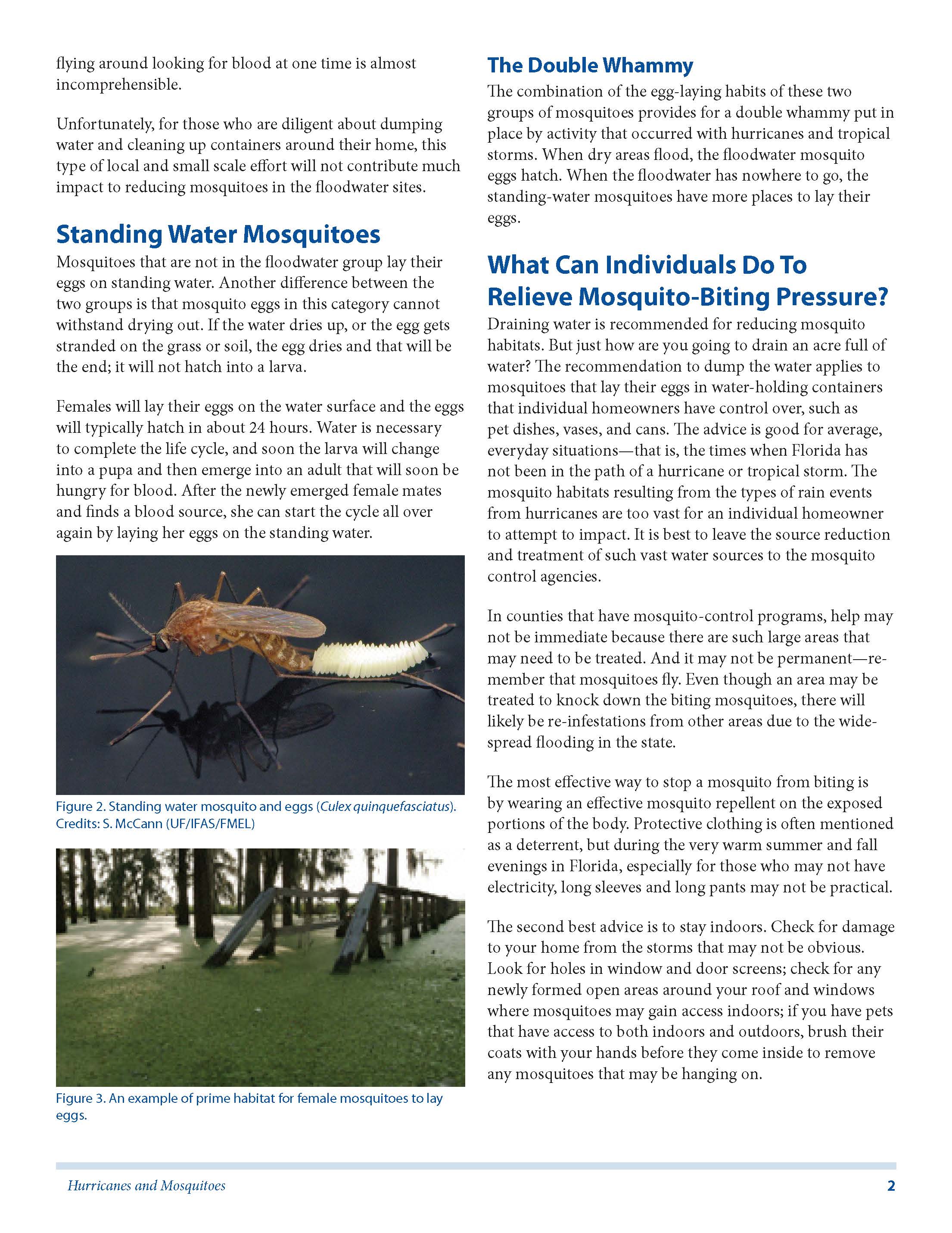 Hurricanes and Mosquitoes_Page_2 Article from Roxanne Connelly UF IFAS Extention 